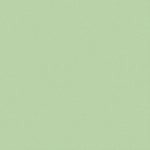 plastic finishing, material: polypropylene; color: pastel-green